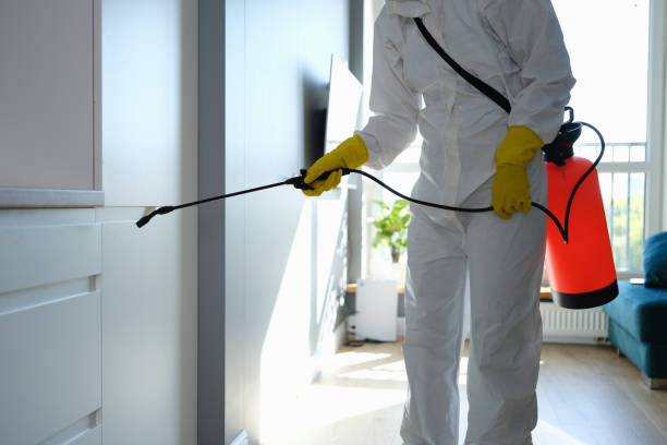 Certified Mold Removal in Susanville, CA