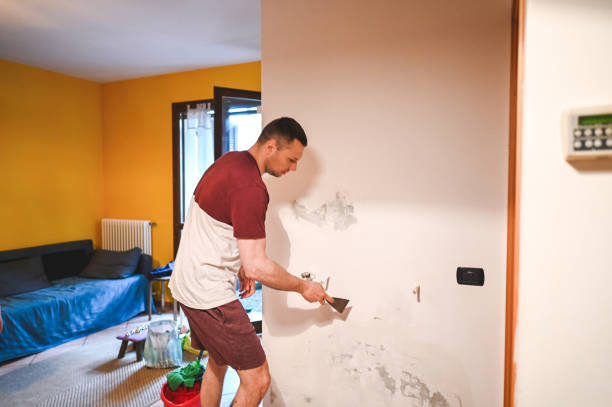 Best Certified Mold Removal  in Susanville, CA