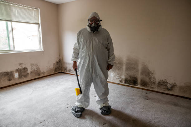 Best Best Mold Removal Companies  in Susanville, CA